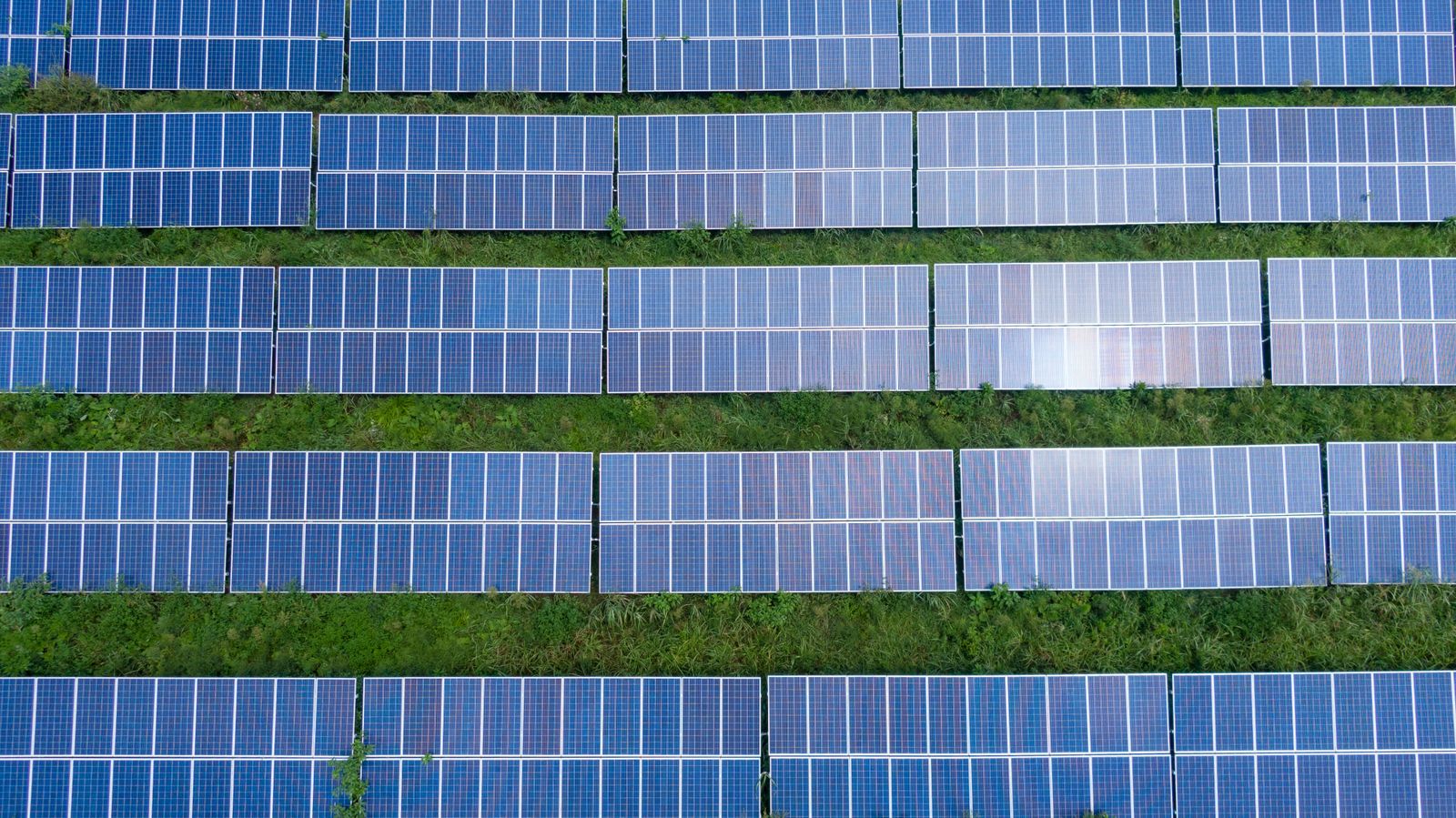 Rows of solar panels across a large commercial array